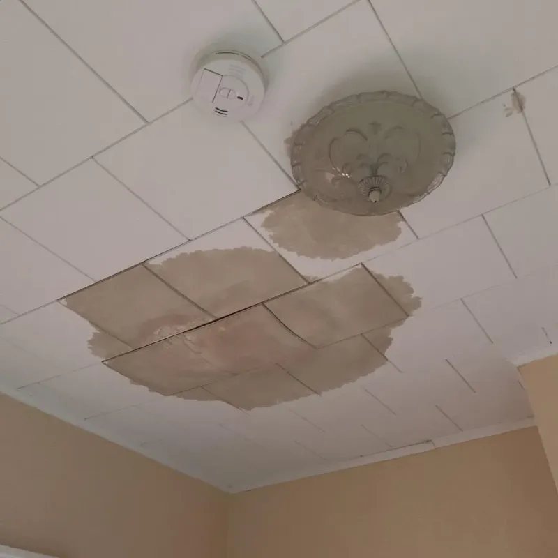 Ceiling Water Damage Repair in Jefferson County, TX