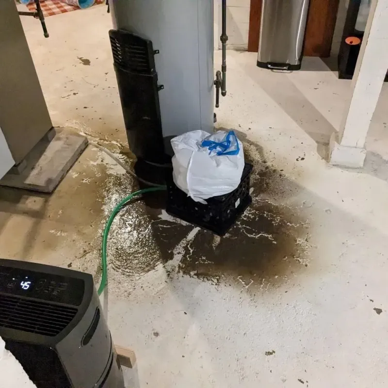 Sewage Backup Cleanup Service in Jefferson County, TX